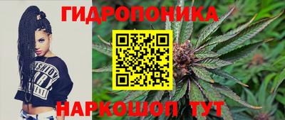 гашик Малгобек