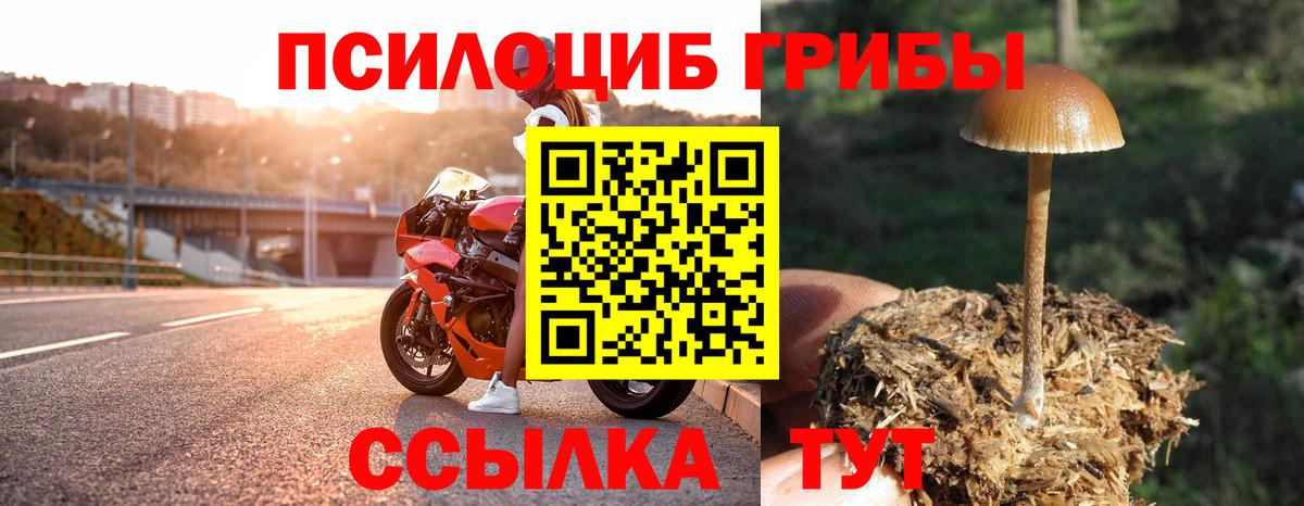 магазин продажи   Псилоцибиновые грибы Cubensis  Вход с VPN  Вязники  Галлюциногенные грибы мухоморы 
